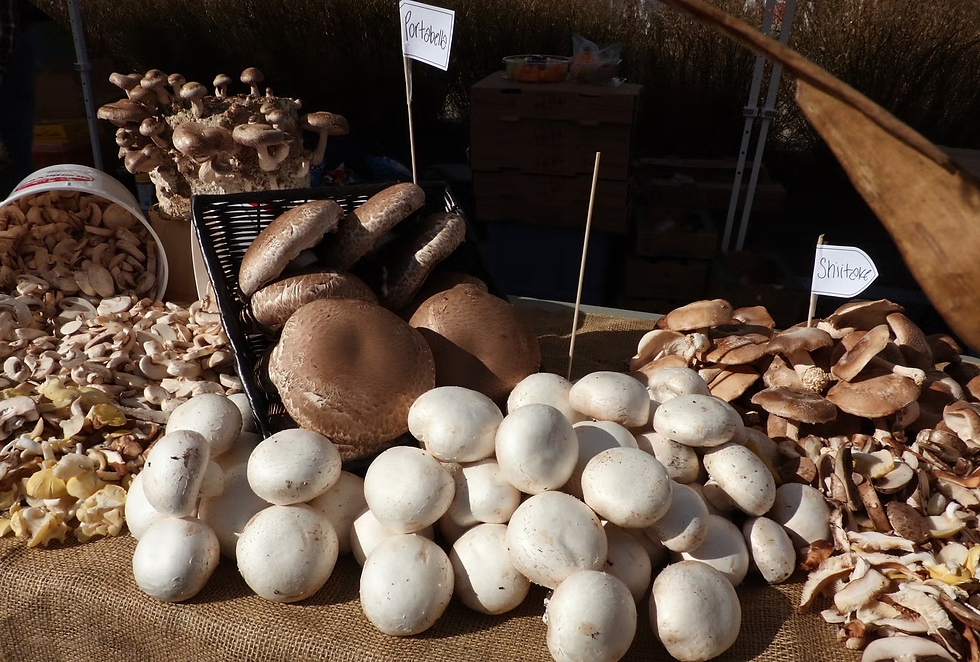 champignons comestibles