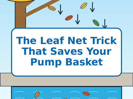 The Leaf Net Trick That Saves Your Pump Basket