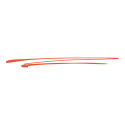 orange underline.png