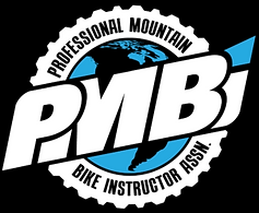 PMBI-logo-300x246.png