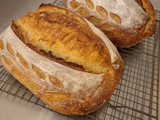 Why Sourdough?