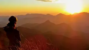 Poesia - Existir sem pedir licença, por Denise Caramori