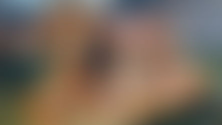 Artigo - Refugiados, por Raquel Naveira