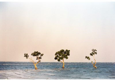 Poesia - Queria ser um rio, por Paulo Portuga