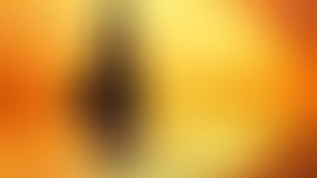 Poesia - Estamos Todos, por Sylvia Cesco