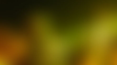 Dança - MS Dance Fest 2025 tem início nesta quinta-feira