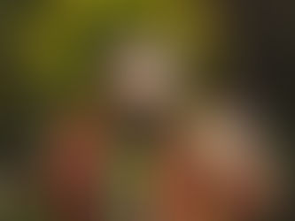 Show – Grineberg lança sábado seu álbum “108” em São Paulo