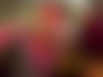 Opinião - Cantora Layne Francinny é um talento escondido em sua simplicidade