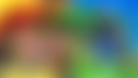 Conto - Um conto de bichos, por André Luiz Alvez