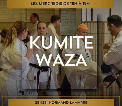 Cours Kumite Waza.jpg