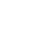 BOND BROS Final (LOGO only White)