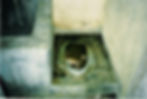sabron-samon-toilet