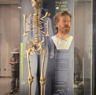 A skeleton and reconstructed face suggesting what the man may have looked like that can be found in the museum at stonehenge.