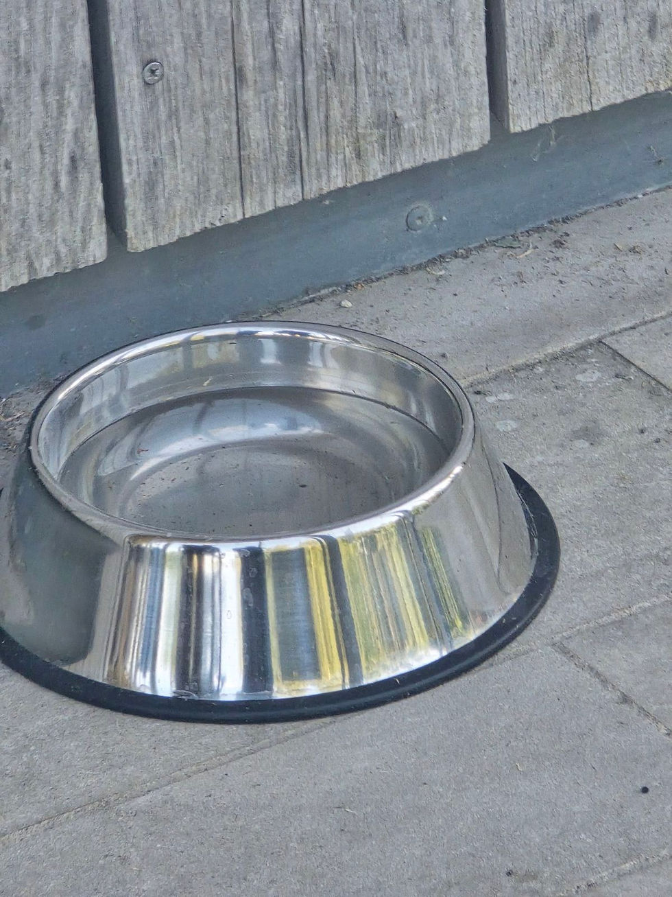 A dogs water bowl.