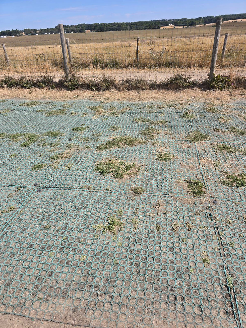 Some green rubber matting that is exposed through the dry yellowed grass around the monument.