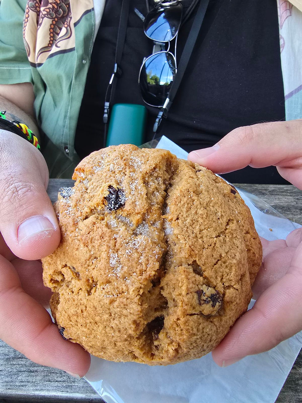 An image of a famous stonehenge rock cake. It is similar to a large scone in texture and size. This one is raisin flavour.