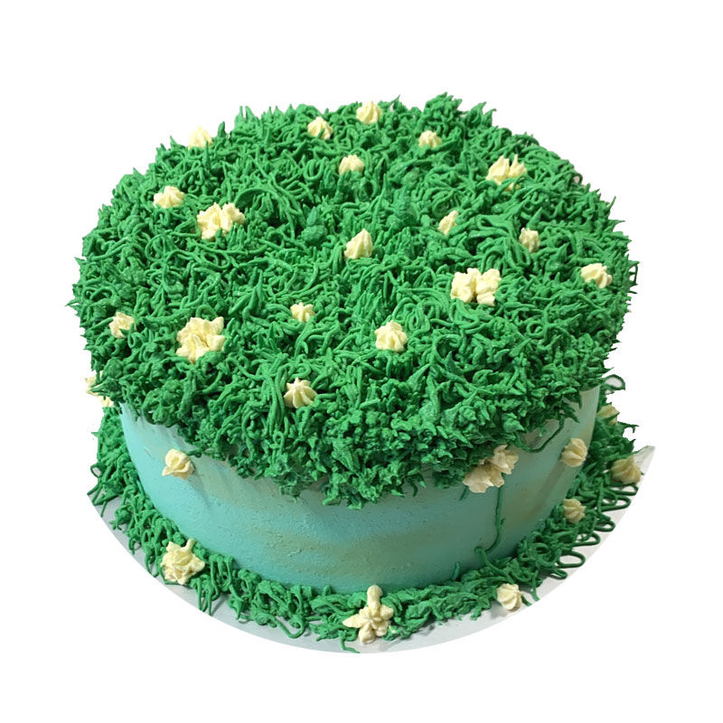 Thumbnail: Pet Cake Grass Field