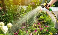 watering with hose.jpeg