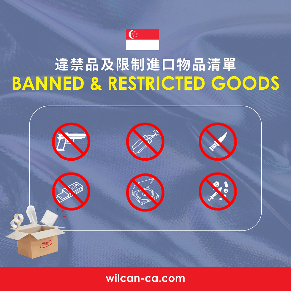 Icons of banned items (gun, fireworks, knife, etc.) with "Banned & Restricted Goods" text. Singapore flag on top. Blue background.