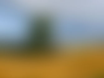 Photos lauréates du concours