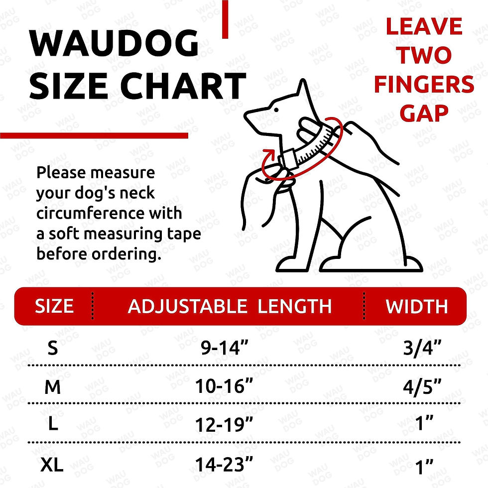 Miniaturbild: Black Waterproof Dog Collar Adjustable for Medium Dogs 1016 inch Neck