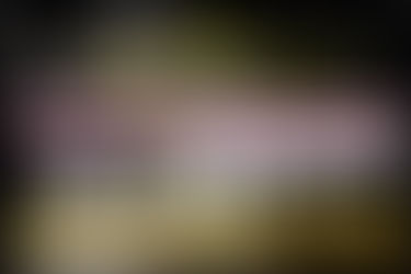 【鐵森林排練空間 春節休館公告】