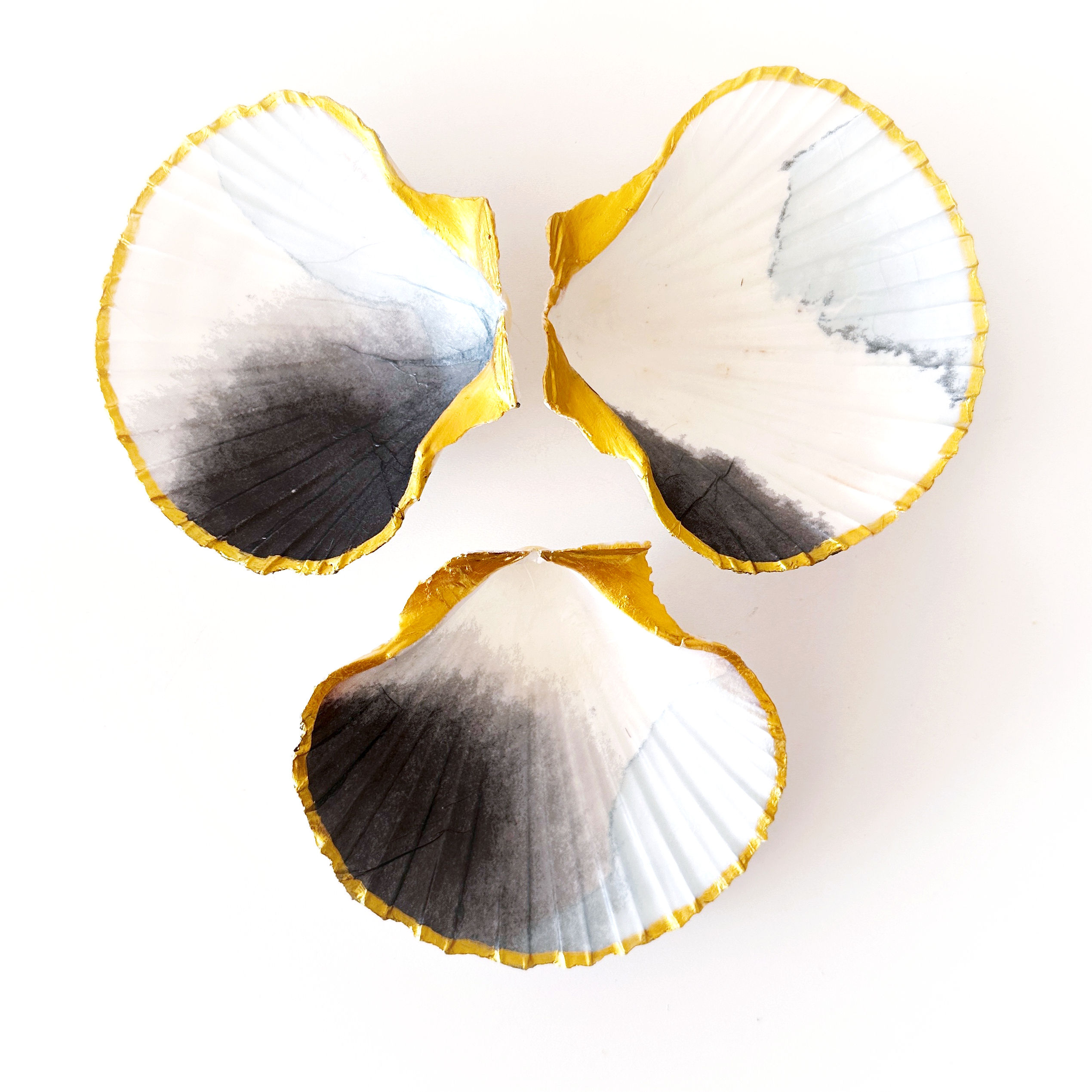 Muschelschale „ Aquarell“