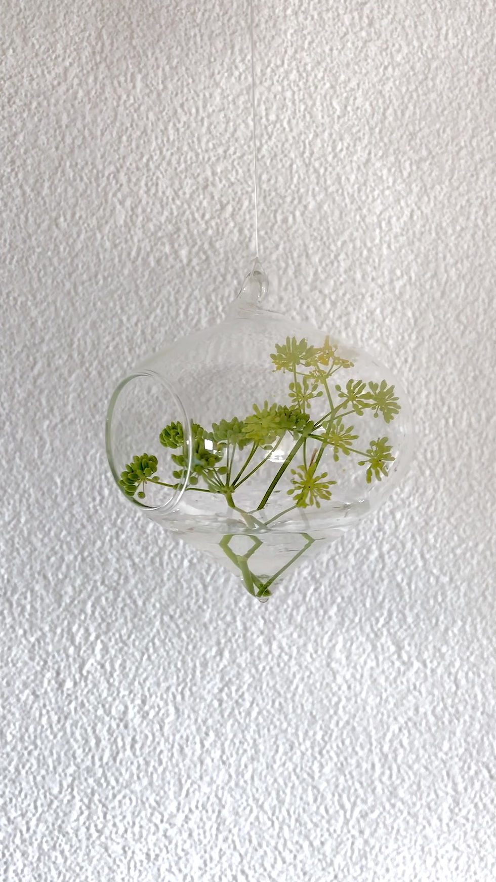 Miniaturbild: Glaskugel " Magic "