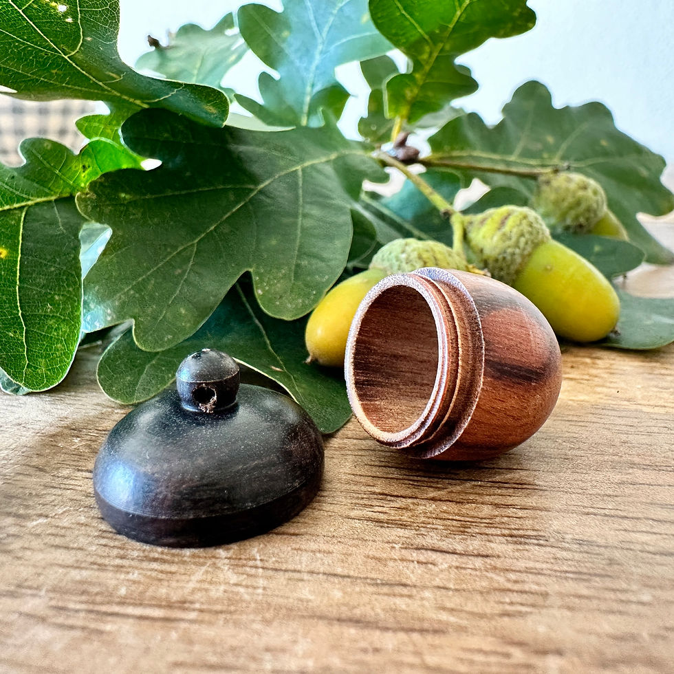 Miniaturbild: Überraschungsdose " Quercus "