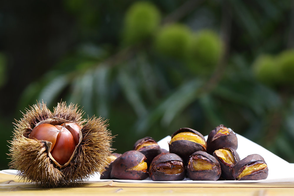 ⑥⓪自宅で栗拾い☘️無農薬生栗☆自宅で栗拾い☆阿蘇山天然水使用☆朝
