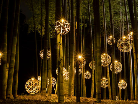 Bamboo Winter Lights 2021｜2月27日で終了