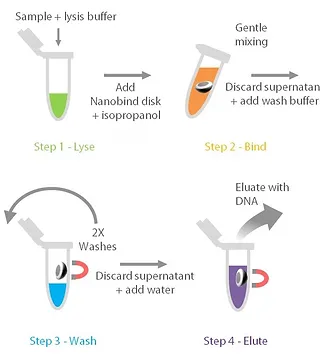 circulomics hmw dna extraction long