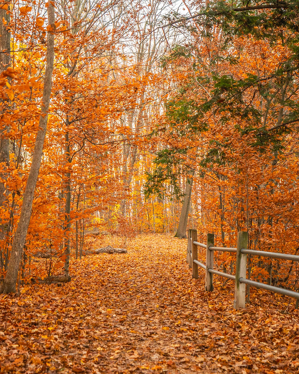SUBMIT YOUR FALL PHOTOS FOR A CHANCE TO WIN!