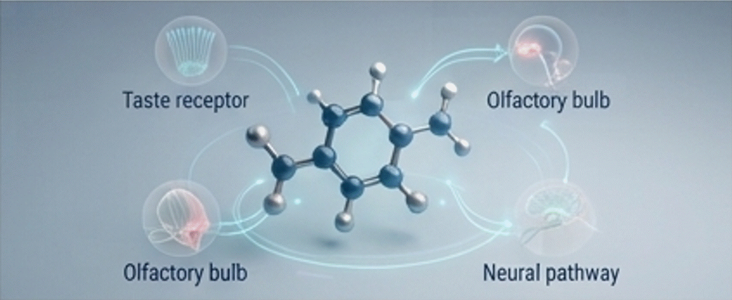 Chem.gif