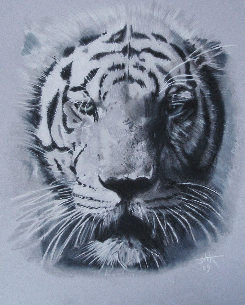 Last Tiger on Earth.JPG