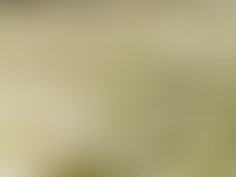 Sustainable Acoustics joins businesses and experts to back Biodiversity Net Gain for small sites