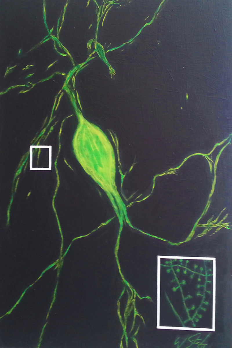 regenereatingneuron.1