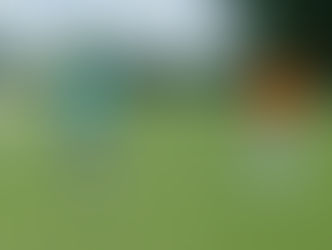 Day IV ... and the winner is …