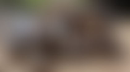 Five Twenty-five Twenty fifteen