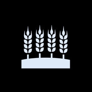 Steengate begleitet die bauliche Neuordnung eines Landgutes in Norddeutschland 