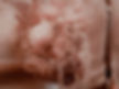 DSC_2244_edited.jpg
