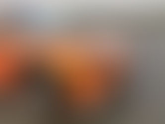 KTL Te.Sense Bloom installed on car