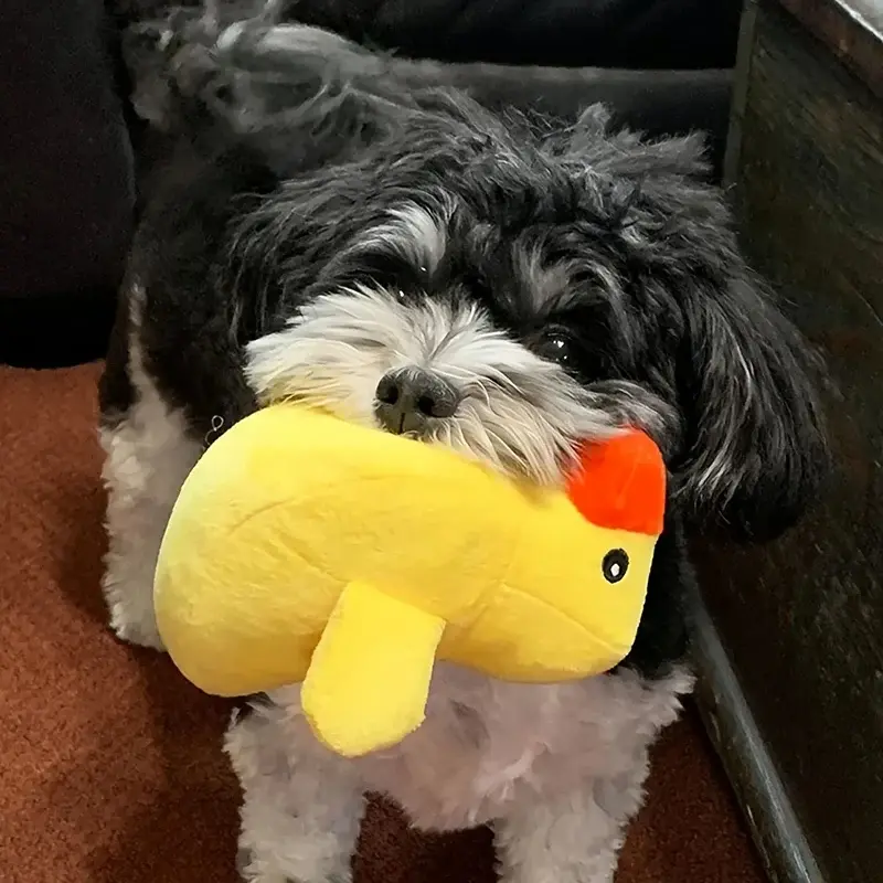 Thumbnail: Plush Chew Toy Sets