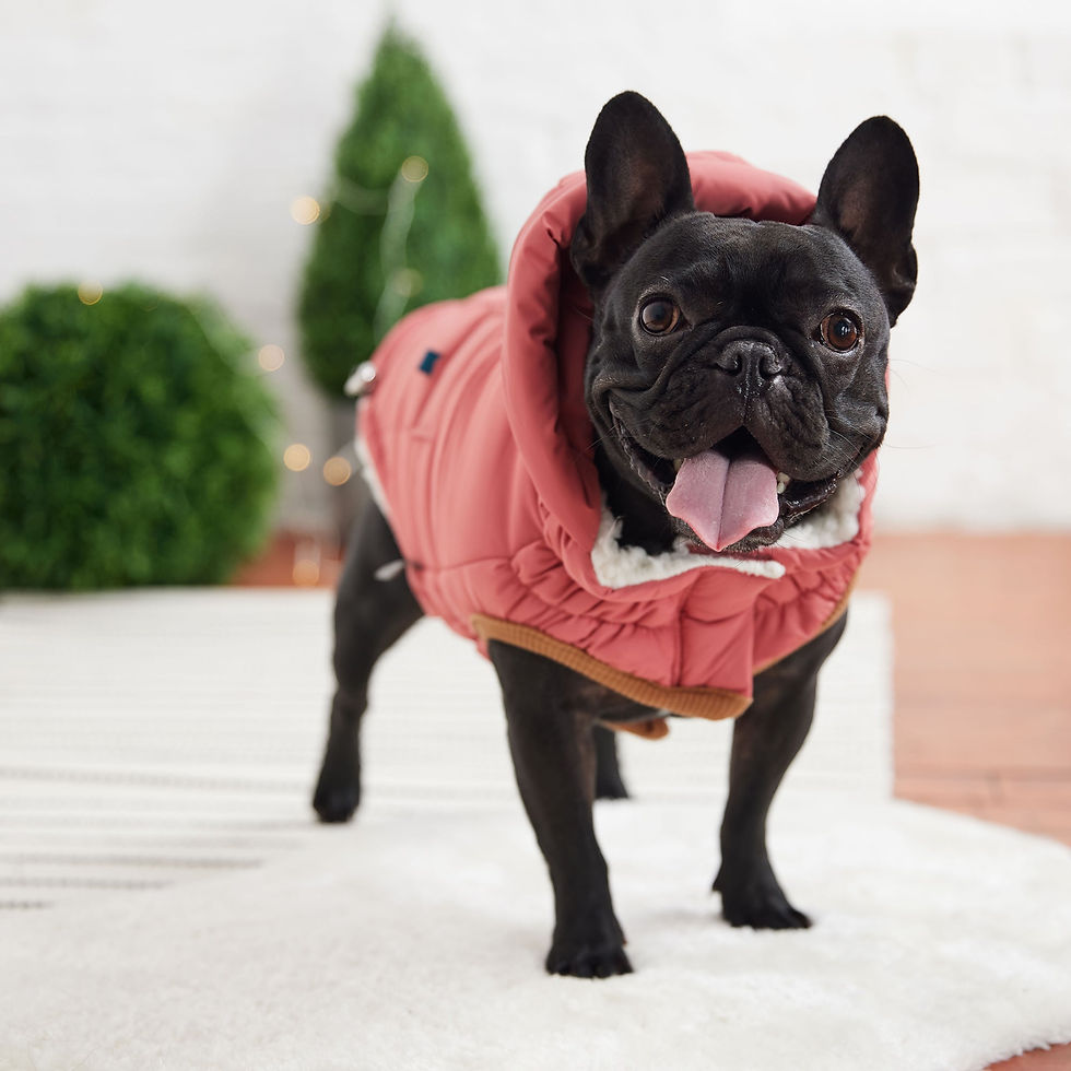 Thumbnail: The Puff Parka - Coral Pink
