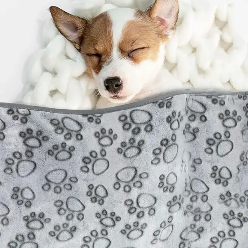 Thumbnail: Pawprint Blanket