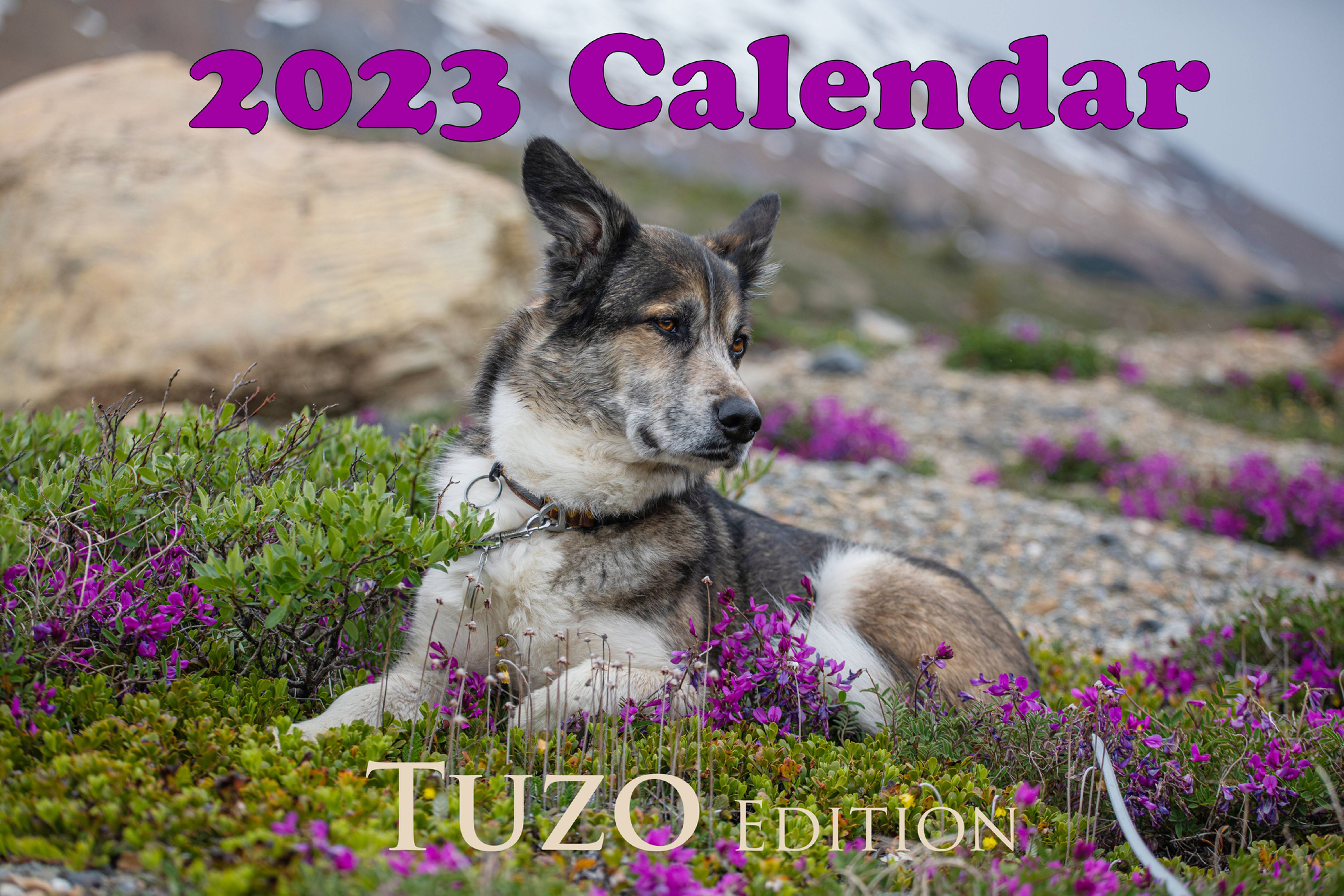 2023 Tuzo Calendar