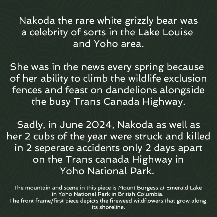 Thumbnail: Special Edition "Nakoda" the White Grizzly