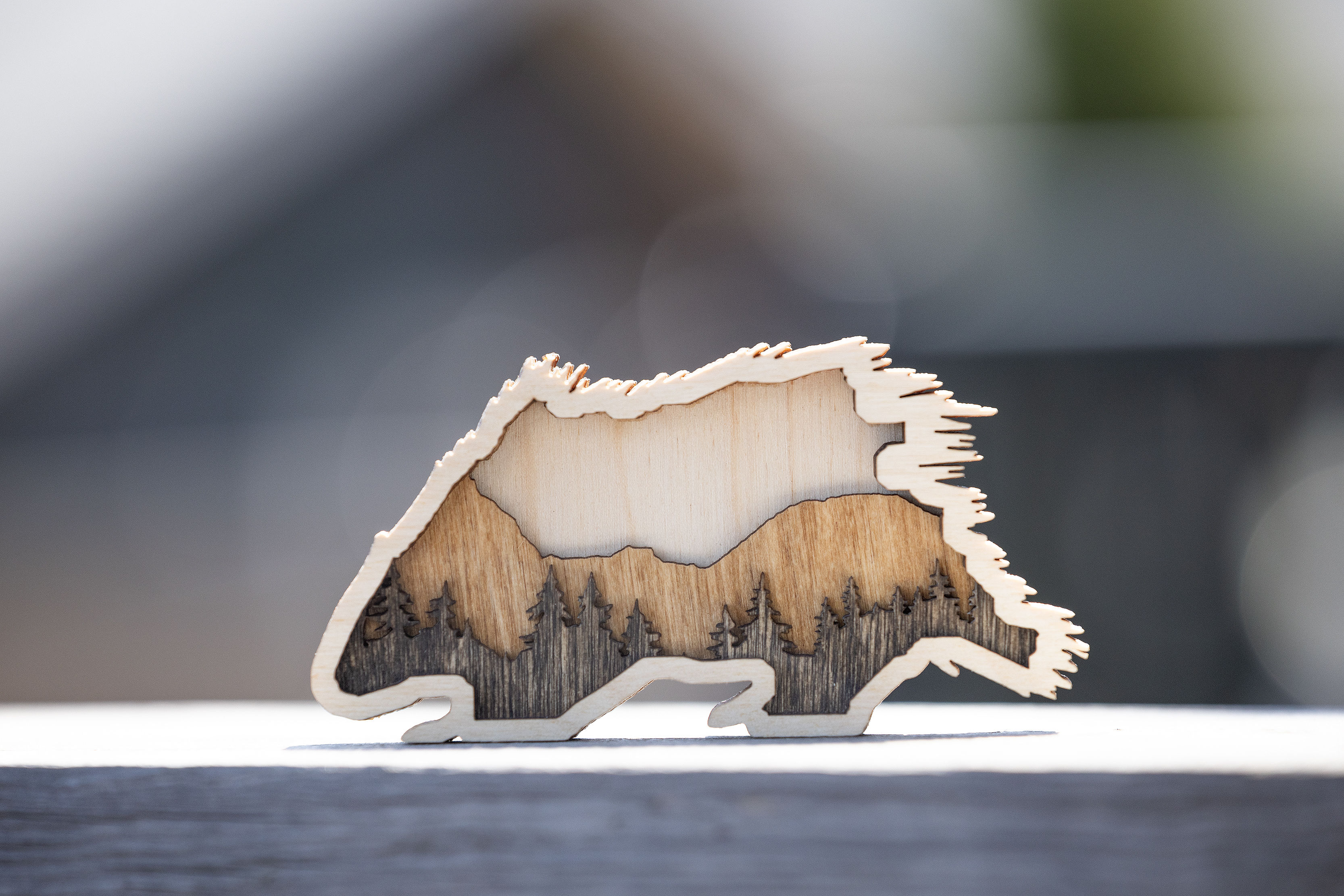 Skoki Porcupine