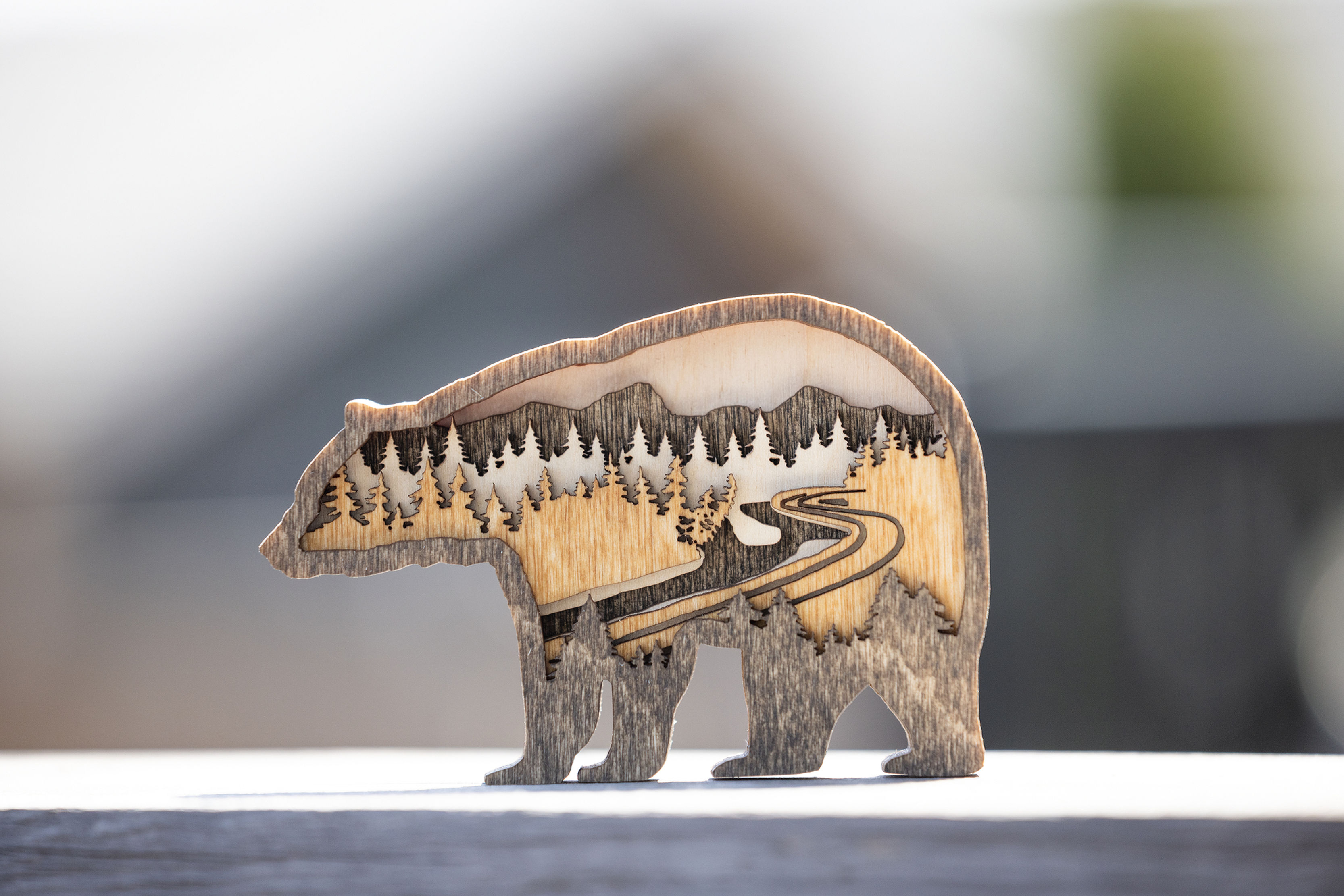 Morant's Curve Black Bear