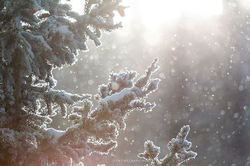 4N9C7047-Edit.jpg